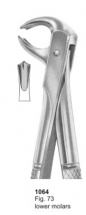  Fig. 73 lower molars 